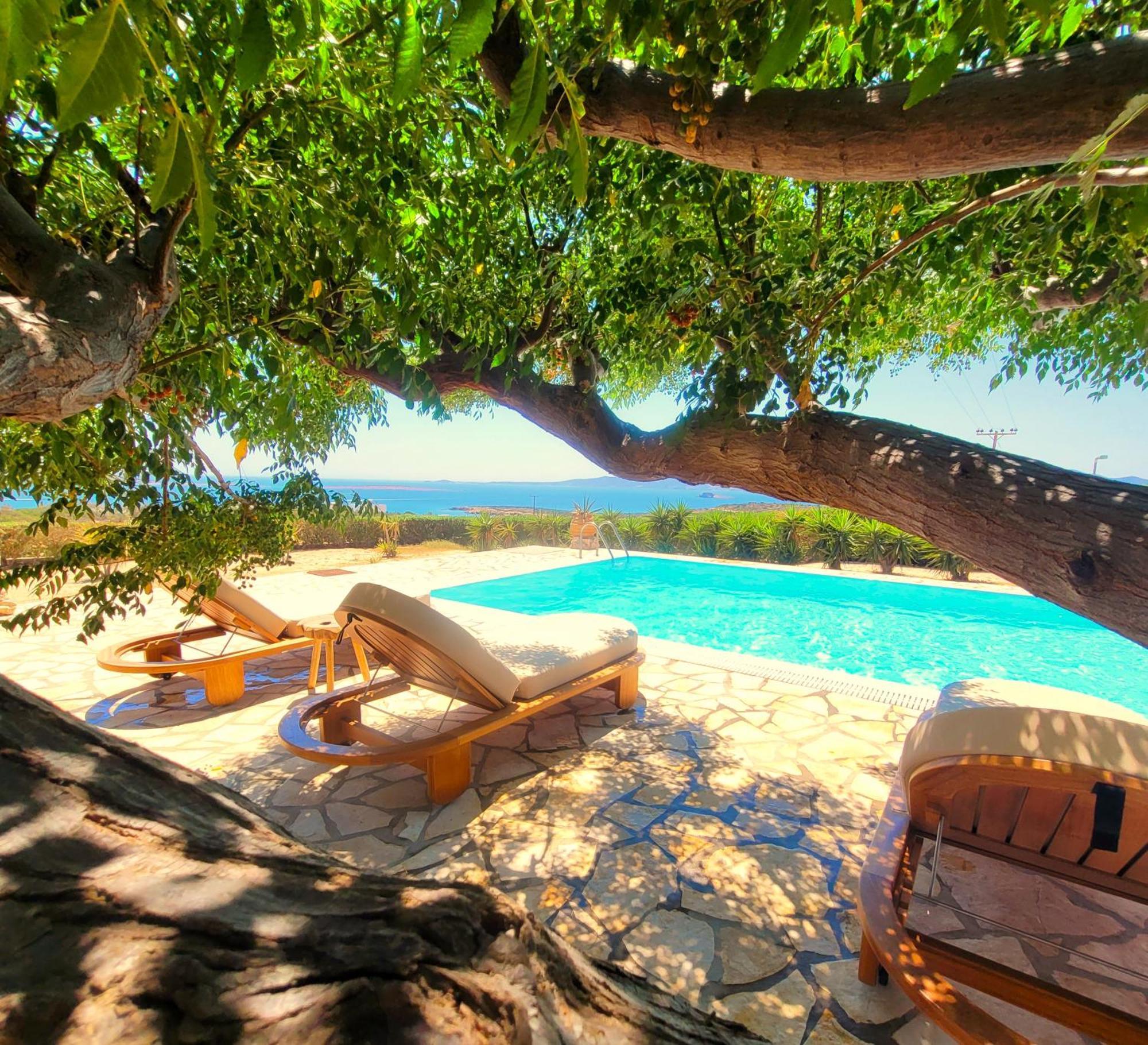 Paros Afrodite Luxury Villas Alikí 外观 照片