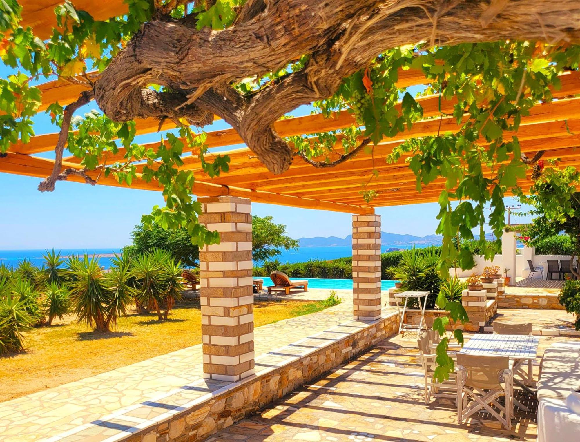 Paros Afrodite Luxury Villas Alikí 外观 照片